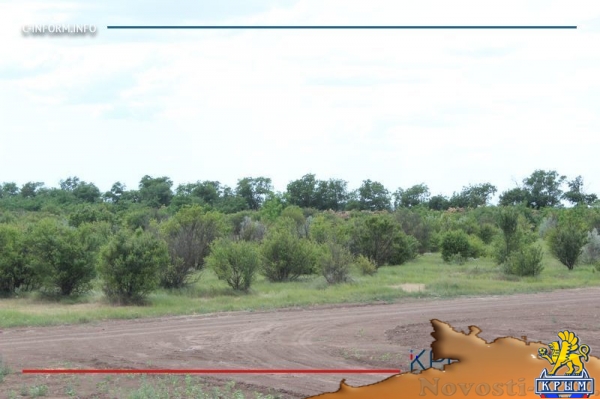 Минсельхоз России изучит планы по увеличению площади орошаемых земель в Крыму (ФОТО) - «Политика Крыма»