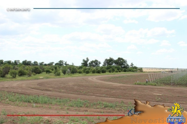 Минсельхоз России изучит планы по увеличению площади орошаемых земель в Крыму (ФОТО) - «Политика Крыма»