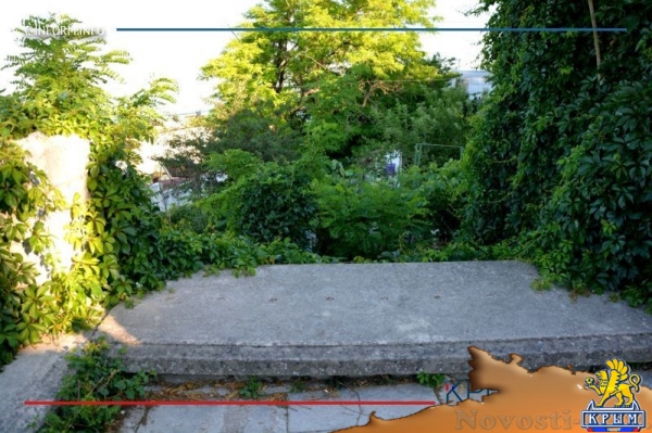 Ступени бюрократии: когда начнётся ремонт Митридатской лестницы (ФОТО, ВИДЕО) - «Общество Крыма»