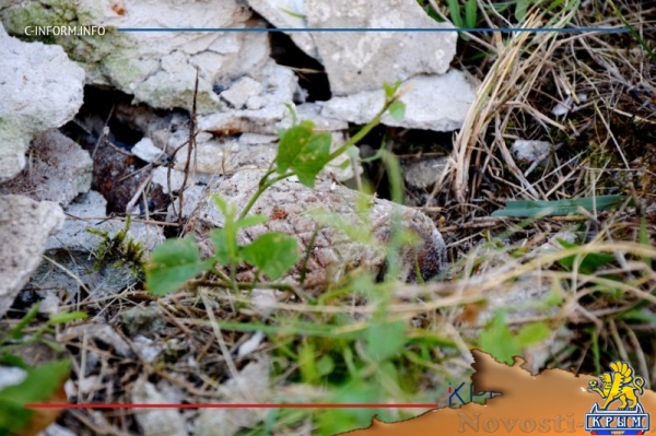 Отголоски войны: пиротехники «Лидера» разминируют крепость у Крымского моста - «Экономика Крыма»