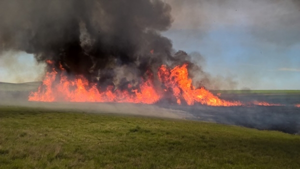 Ежедневно на полуострове фиксируют около 20 возгораний - «МЧС»