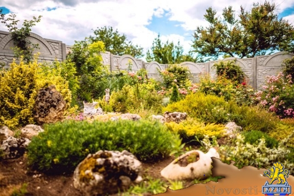 Отдых в Севастополе. Сдам номера в гостевом доме "Астерия" Отдых в Крыму 2017 - жильё в Крыму без посредников - «Отдых в Севастополе» Отдых в Севастополе. Сдам номера в гостевом доме "Астерия" Отдых в Крыму 2017 - жильё в Крыму без посредников - «Отдых в Севастополе»