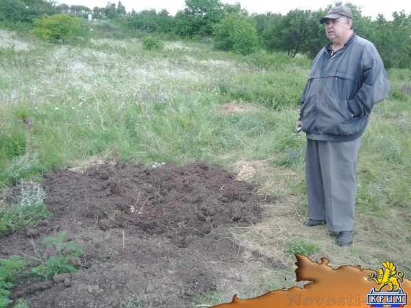 Полиция возбудила уголовное дело по факту вскрытия мародерами расстрельного рва под Симферополем (ФОТО, ВИДЕО) - «Возвращение в Россию»