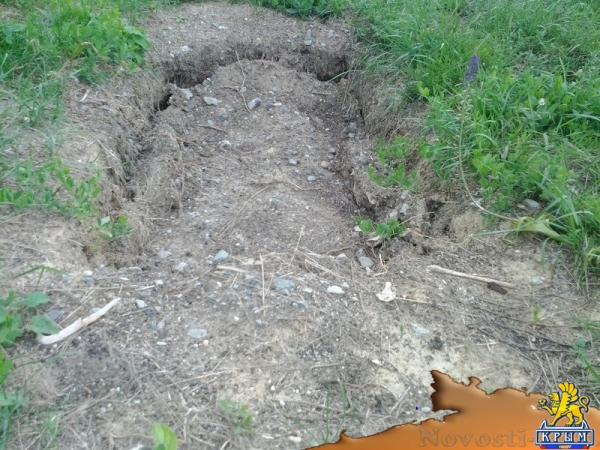 Полиция возбудила уголовное дело по факту вскрытия мародерами расстрельного рва под Симферополем (ФОТО, ВИДЕО) - «Возвращение в Россию»