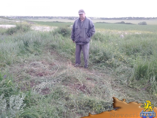 Полиция возбудила уголовное дело по факту вскрытия мародерами расстрельного рва под Симферополем (ФОТО, ВИДЕО) - «Возвращение в Россию»