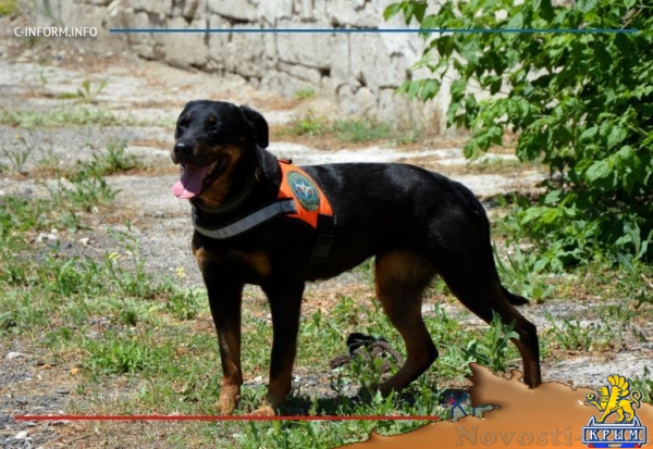 Отголоски войны: пиротехники «Лидера» разминируют крепость у Крымского моста - «70 лет Победы»