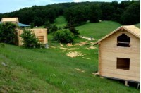 За неделю в Крыму появилась 421 новая семья - «Новости Крыма»