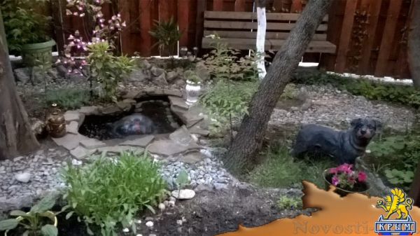 Отдых в Ялте. ЛЕТО в Ялте. Коттедж 3-6 человек. Свой дворик ,гараж. Рядом пляж Отдых в Крыму 2017 - жильё в Крыму без посредников - «Отдых в Ялте» Отдых в Ялте. ЛЕТО в Ялте. Коттедж 3-6 человек. Свой дворик ,гараж. Рядом пляж Отдых в Крыму 2017 - жильё в Крыму без посредников - «Отдых в Ялте»