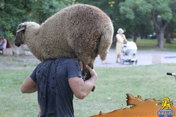 Спортсмен клуба «Слава» стал абсолютным чемпионом в борьбе на поясах - «Керчь»