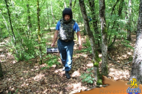 Пиротехники обезвредили немецкую авиабомбу в Бахчисарайском районе - «Новости Крыма»