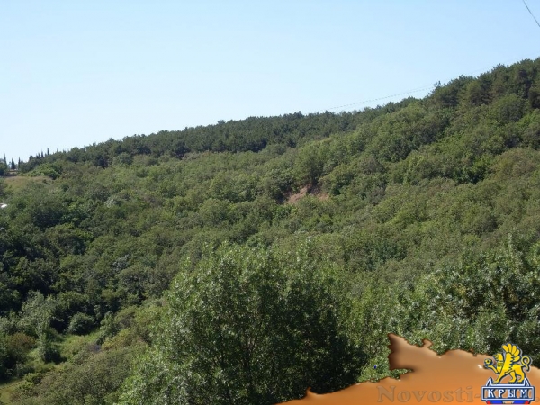 Отдых в Алуште. Сдам комнату c Wi-Fi в квартире, Алушта Отдых в Крыму 2017 - жильё в Крыму без посредников - «Отдых в Алуште»