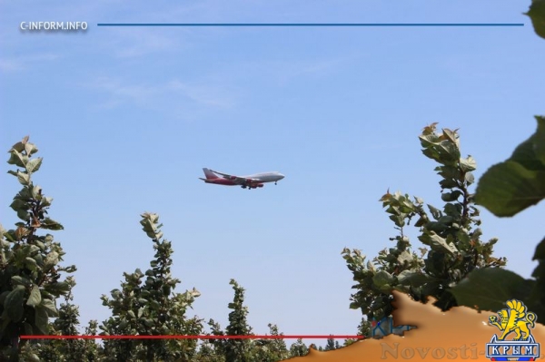 Что нам дождик проливной: как погода повлияла на урожай фруктов в Крыму - «Культура Крыма»