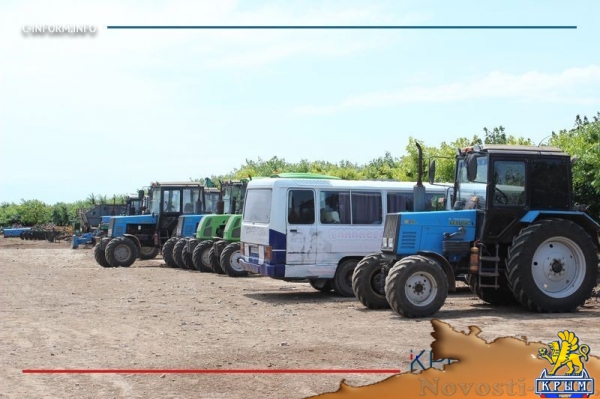 Что нам дождик проливной: как погода повлияла на урожай фруктов в Крыму - «Культура Крыма»