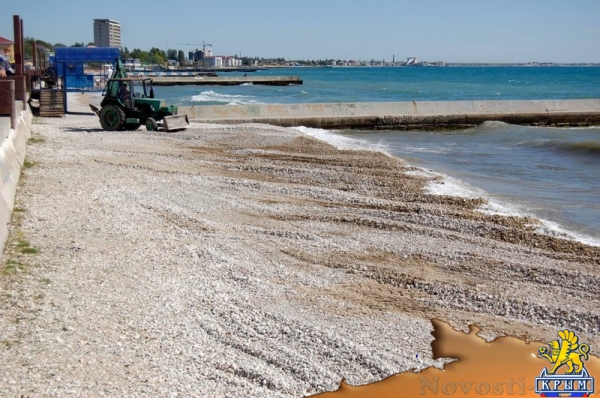 Власти Феодосии не имеют претензий к арендатору высмеянного в интернете пляжа (ФОТО) - «Политика Крыма»