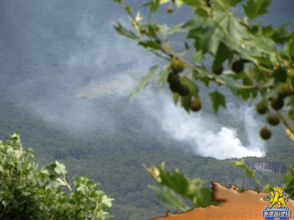 Над Ялтой горит лес - «Происшествия»