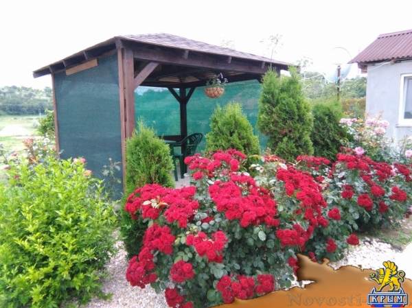 Отдых-эконом в Любимовке. сдаю уютные номера в гостевом доме Отдых в Крыму 2017 - жильё в Крыму без посредников - «Отдых в Крыму» Отдых-эконом в Любимовке. сдаю уютные номера в гостевом доме Отдых в Крыму 2017 - жильё в Крыму без посредников - «Отдых в Крыму»