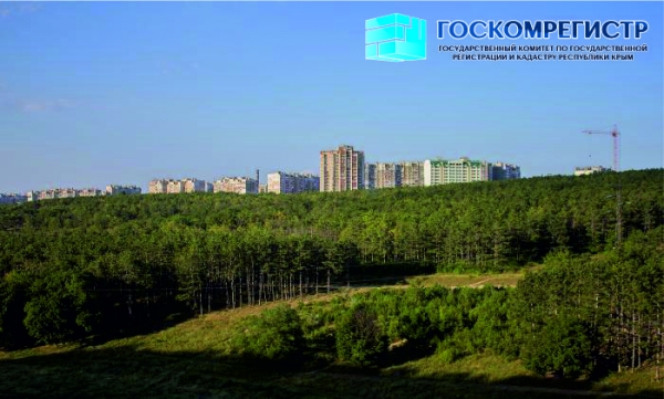 Госкомрегистр попросил симферопольский муниципалитет предоставить информацию о границах городских лесов и лесопарковых зон — Александр Спиридонов - «Госкомрегистр»