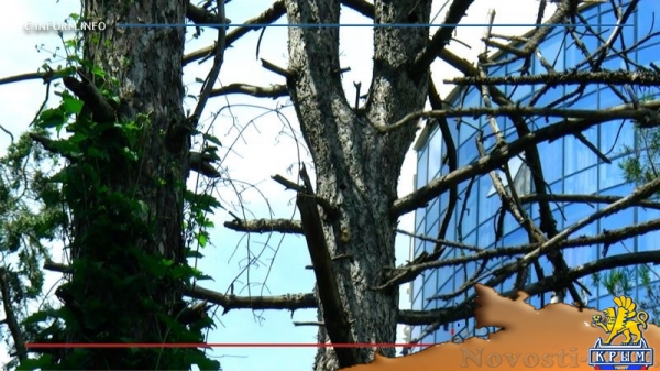 Высоковольтная линия раздора - «Возвращение в Россию» Высоковольтная линия раздора - «Возвращение в Россию»