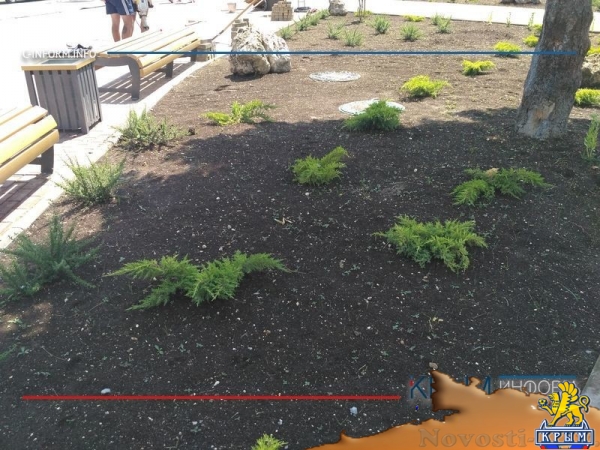 Место притяжения. Сквер в центре Симферополя становится все популярнее у горожан (ФОТО, АУДИО) - «Возвращение в Россию» Место притяжения. Сквер в центре Симферополя становится все популярнее у горожан (ФОТО, АУДИО) - «Возвращение в Россию»