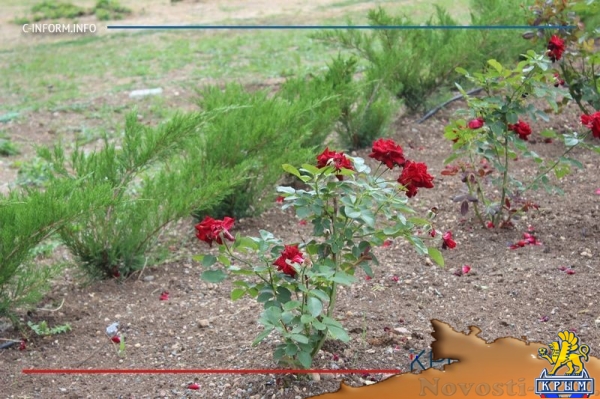 Под присмотром Великой: Екатерининский сад стал любимым местом для отдыха в Симферополе с детьми (ФОТО, ВИДЕО) - «70 лет Победы»