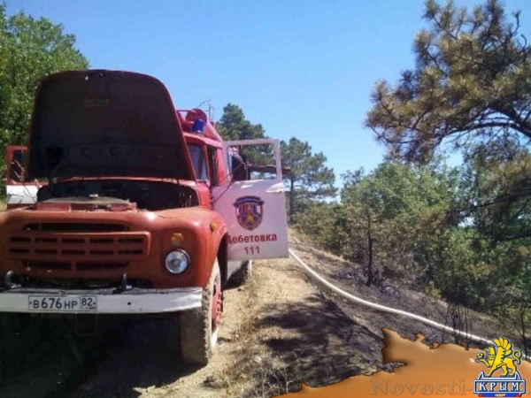 Сотрудники МЧС предотвратили распространение крупного пожара на лес в районе Коктебеля (ФОТО) - «Общество Крыма»