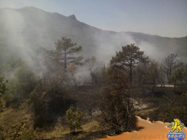 Сотрудники МЧС предотвратили распространение крупного пожара на лес в районе Коктебеля (ФОТО) - «Общество Крыма»