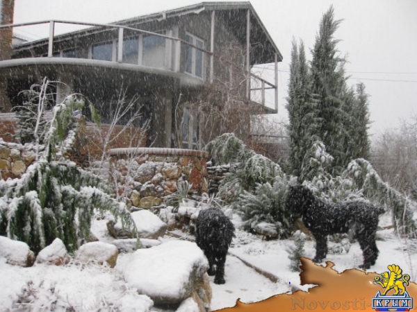 Отдых в Фиоленте. Усадьба ПЕНАТЫ Фиолент Севастополь Отдых в Крыму 2017 - жильё в Крыму без посредников - «Отдых в Крыму» Отдых в Фиоленте. Усадьба ПЕНАТЫ Фиолент Севастополь Отдых в Крыму 2017 - жильё в Крыму без посредников - «Отдых в Крыму»