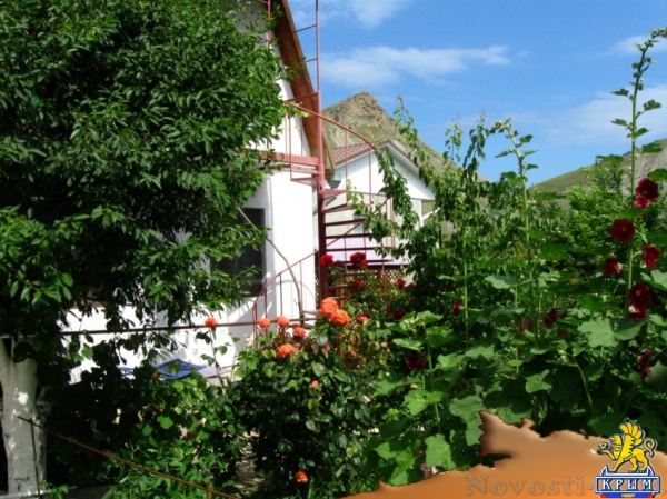 Отдых в Орджоникидзе. Дача на ул. Верхней 4 Отдых в Крыму 2017 - жильё в Крыму без посредников - «Отдых в Орджоникидзе»