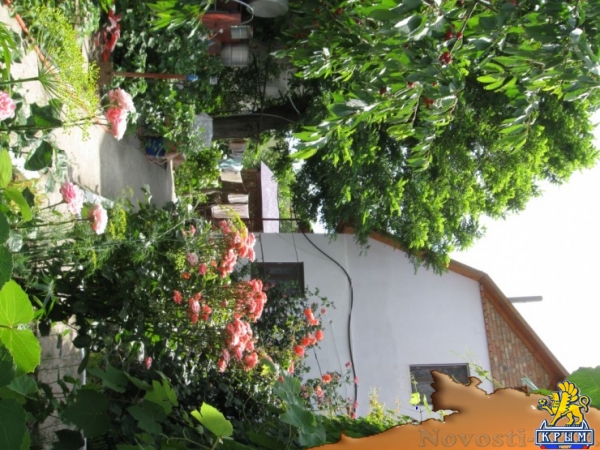 Отдых в Орджоникидзе. Дача на ул. Верхней 4 Отдых в Крыму 2017 - жильё в Крыму без посредников - «Отдых в Орджоникидзе»