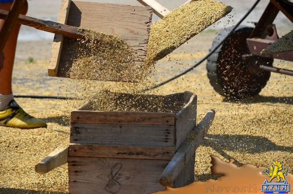 Крымский федеральный университет собрал более 4 тысяч тонн зерновых (ФОТО) - «Общество Крыма»