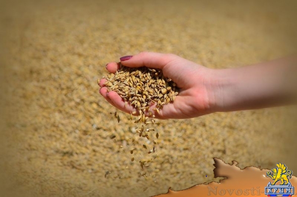 Крымский федеральный университет собрал более 4 тысяч тонн зерновых (ФОТО) - «Общество Крыма»