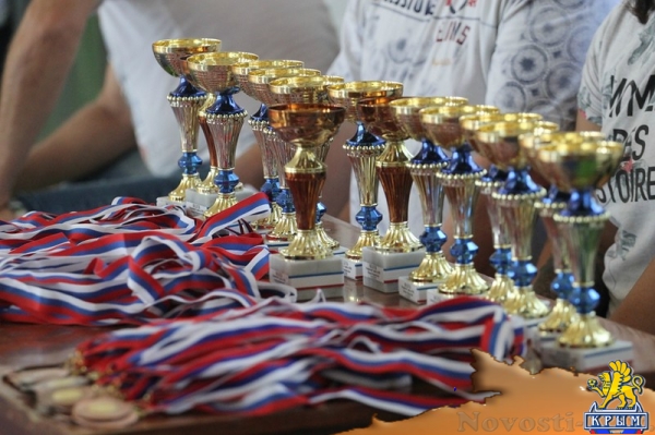 Практика во время подготовки к «Кубку двух морей»: самбисты проявили себя в схватках в Феодосии - «Керчь»