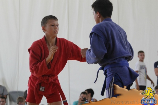 Практика во время подготовки к «Кубку двух морей»: самбисты проявили себя в схватках в Феодосии - «Керчь»