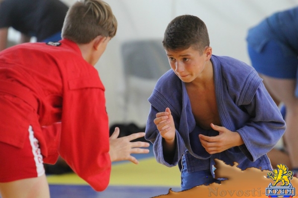 Практика во время подготовки к «Кубку двух морей»: самбисты проявили себя в схватках в Феодосии - «Керчь»