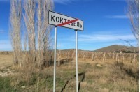 К пляжу в Ласпи под Севастополем регулярно приносит подозрительную пену - «Новости Крыма»