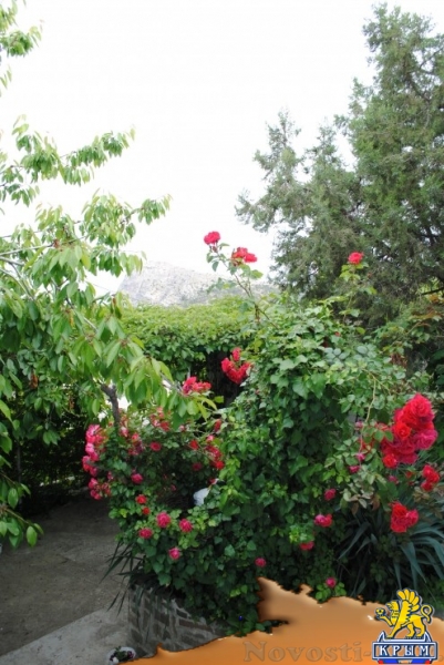 Отдых в Новом Свете. Комфортный дом в Новом Свете. Отдых в Крыму 2017 - жильё в Крыму без посредников - «Отдых в Крыму»