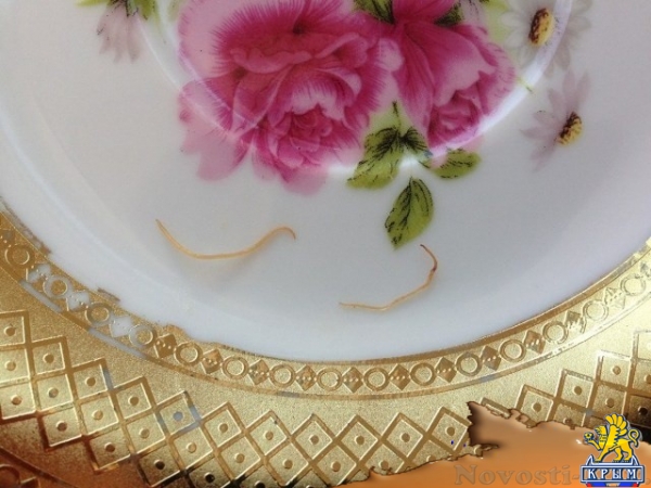 Фотофакт: севастопольцев кормят глистами в консервах - «Общество»