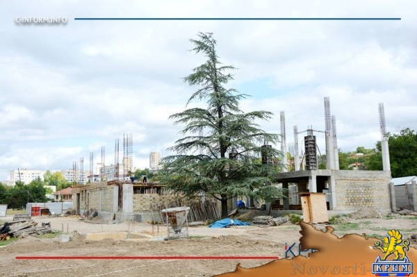 Строительство в Симферополе спорткомплекса с аквапарком за 441 млн рублей займет пять лет - «Общество Крыма»