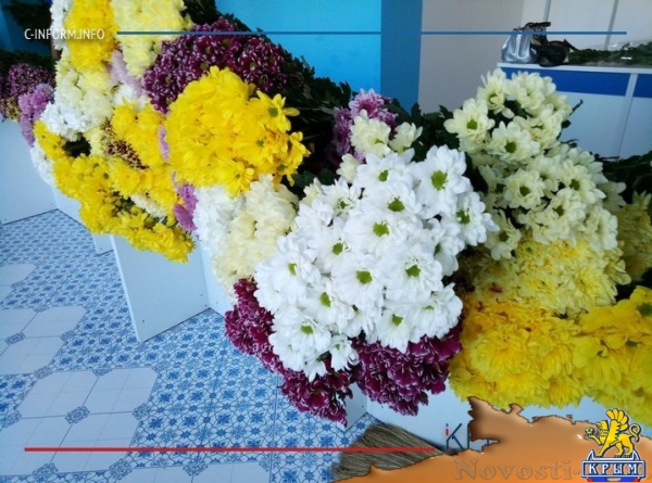 Почти тысяча детей пошли на учебу в новую школу в симферопольском микрорайоне Фонтаны - «Экономика Крыма»