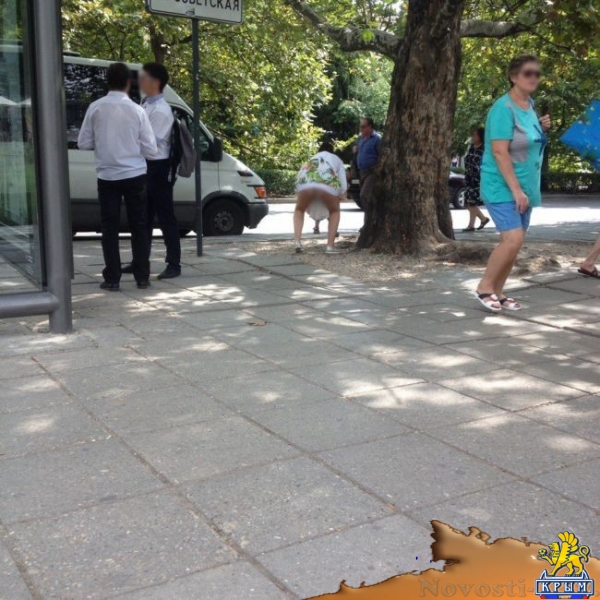 Ялтинцев шокировала мама, которая сводила в туалет ребенка прямо на остановке - «Общество»