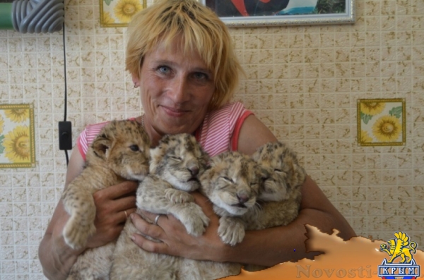 Белая и пушистая мать отказалась от хищных детей - «Керчь»