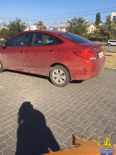 Неопознанные вредители портят керчанам машины - «Керчь»