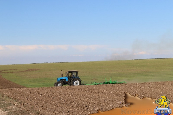 Инвестиции в виноградарство и виноделие в Крыму с начала года обогнали другие отрасли АПК - «Экономика Крыма»