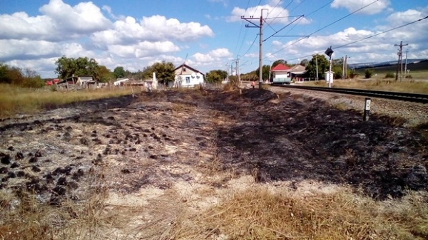 На прошедшей неделе подразделения ГКУ РК «Пожарная охрана Республики Крым» 42 раза привлекались для тушения пожаров и возгораний - «МЧС»