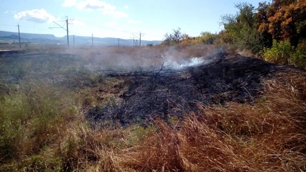На прошедшей неделе подразделения ГКУ РК «Пожарная охрана Республики Крым» 42 раза привлекались для тушения пожаров и возгораний - «МЧС»