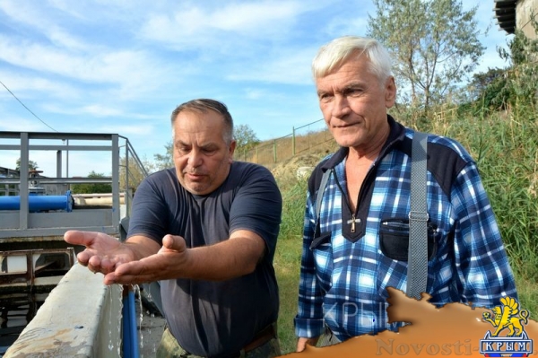 Дурно пахнущая история: жители Коктебеля в заложниках у ассенизаторов и Росприроднадзора - «Туризм Крыма»