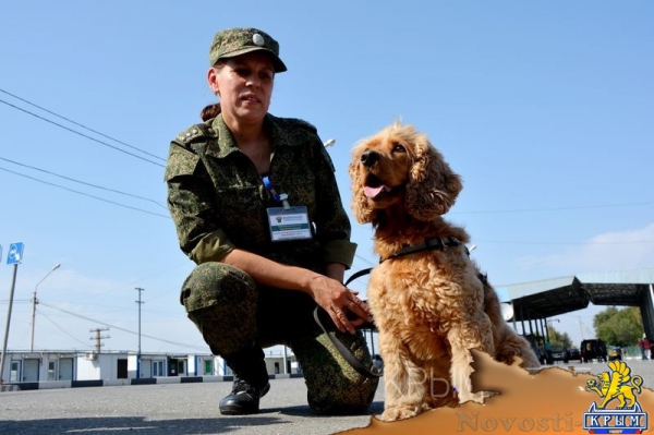 Работа самого загруженного пропускного пункта на границе Крыма с Украиной - «Общество Крыма»