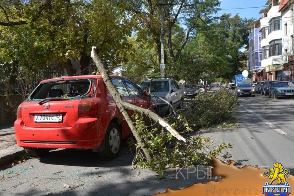 Ураган в Симферополе за сутки повалил 15 деревьев – повреждены электросети и десятки автомобилей - «Общество Крыма» Ураган в Симферополе за сутки повалил 15 деревьев – повреждены электросети и десятки автомобилей - «Общество Крыма»