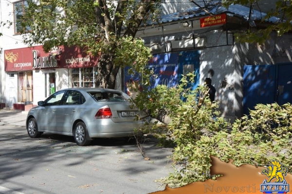 Ураган в Симферополе за сутки повалил 15 деревьев – повреждены электросети и десятки автомобилей - «Общество Крыма» Ураган в Симферополе за сутки повалил 15 деревьев – повреждены электросети и десятки автомобилей - «Общество Крыма»