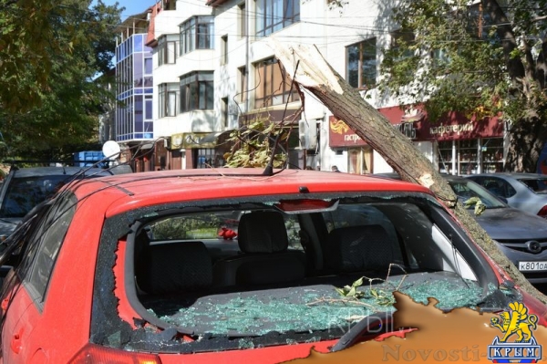 Ураган в Симферополе за сутки повалил 15 деревьев – повреждены электросети и десятки автомобилей - «Общество Крыма» Ураган в Симферополе за сутки повалил 15 деревьев – повреждены электросети и десятки автомобилей - «Общество Крыма»